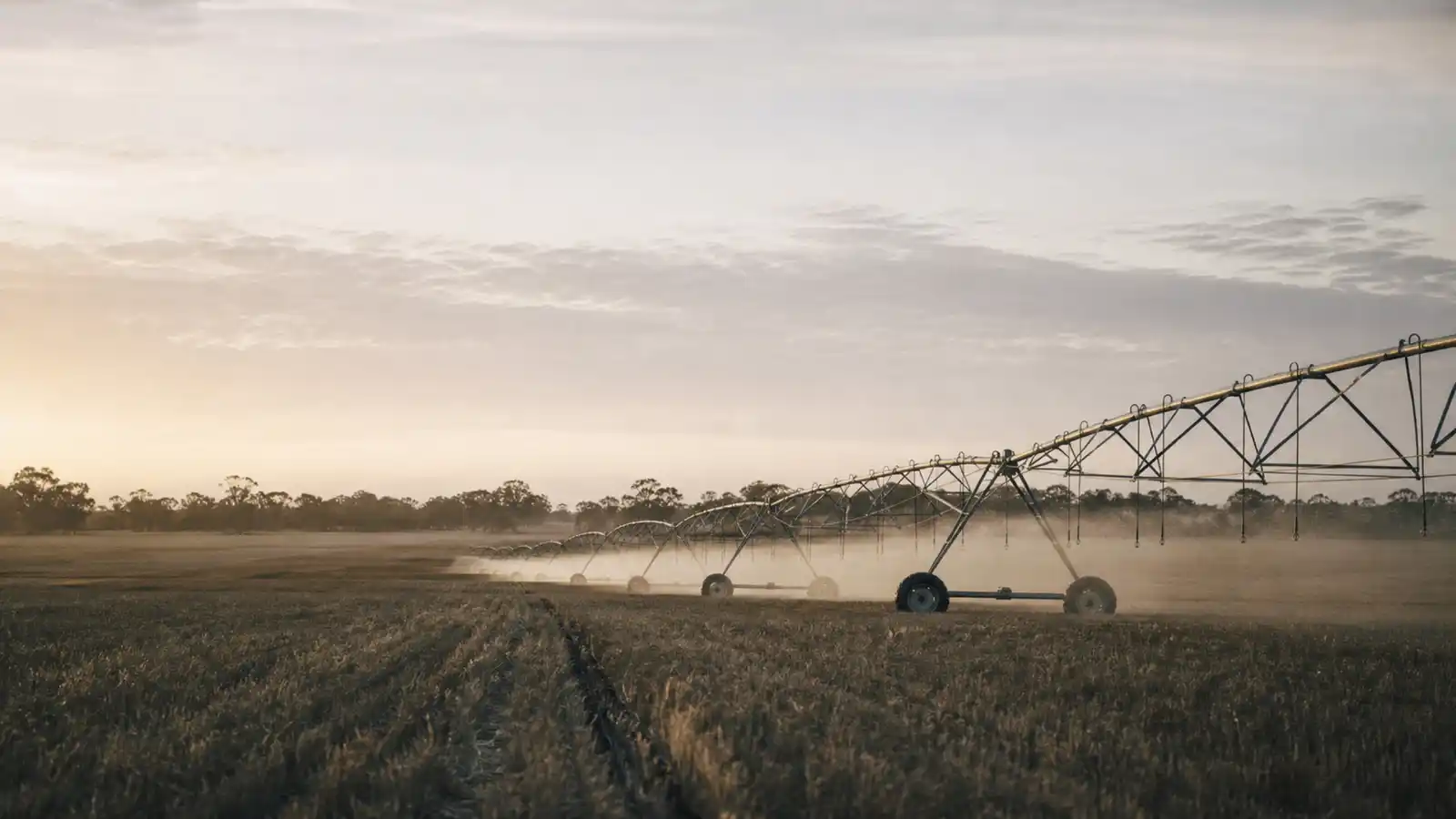 Centre-pivot irrigation across a paddock, design work covered by agricultural engineer professional indemnity insurance