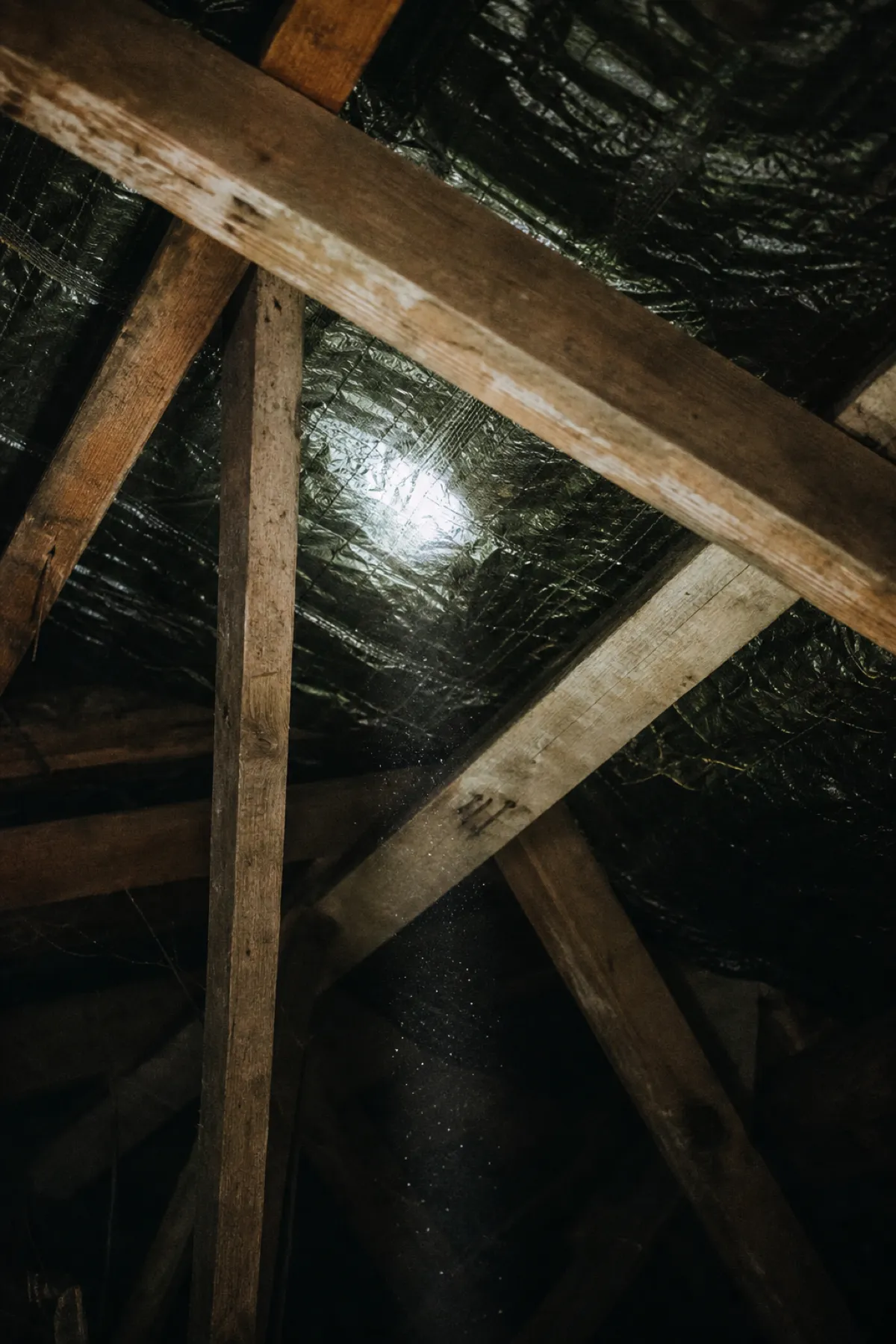 Torchlit roof cavity trusses during an inspection, professional indemnity cover for building inspectors