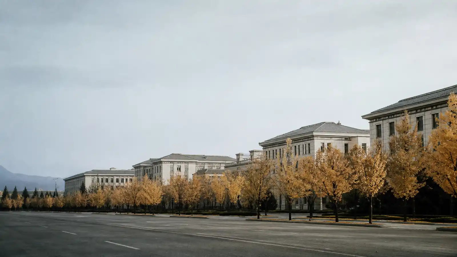 Tree-lined office precinct in autumn, insurance brokers Canberra