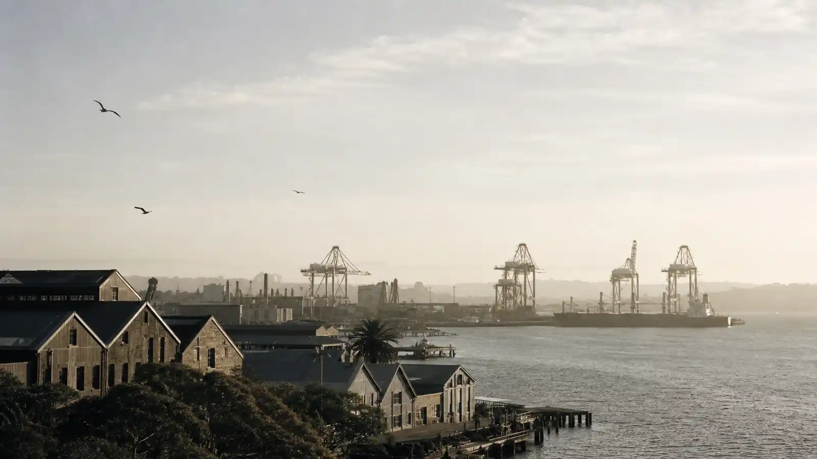 Working harbour with cranes at dawn, insurance brokers for Newcastle businesses