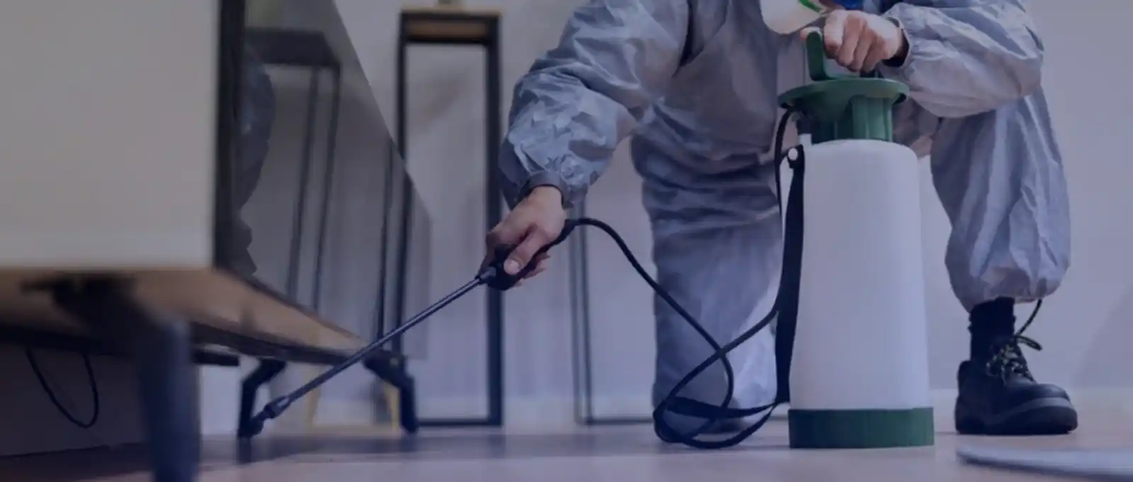 Pest management technician spraying treatment in residential hallway demonstrating professional service delivery