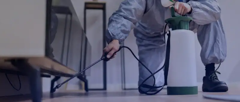 Pest management technician spraying treatment in residential hallway demonstrating professional service delivery