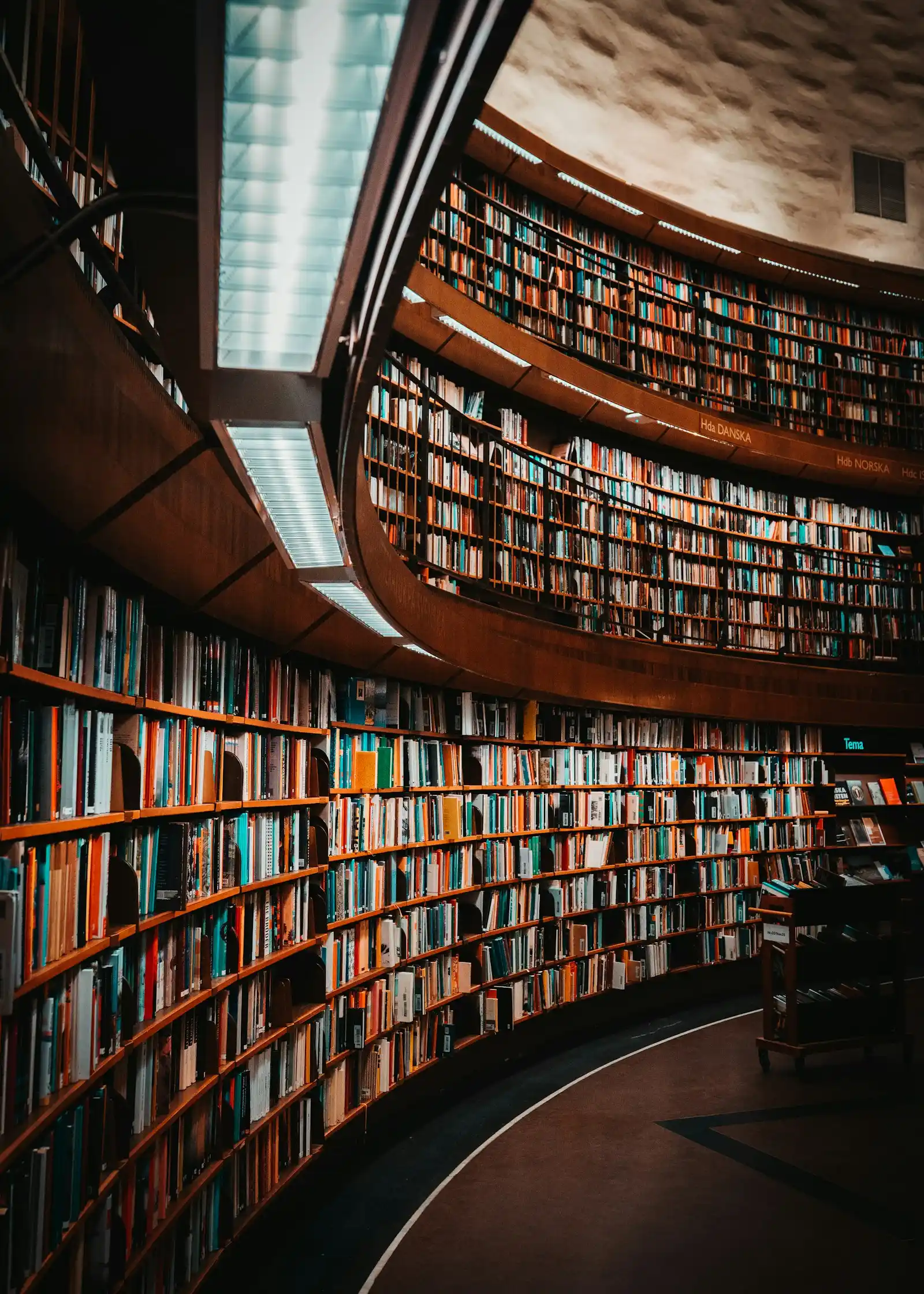 Archive shelving and document storage representing archivist professional indemnity insurance needs