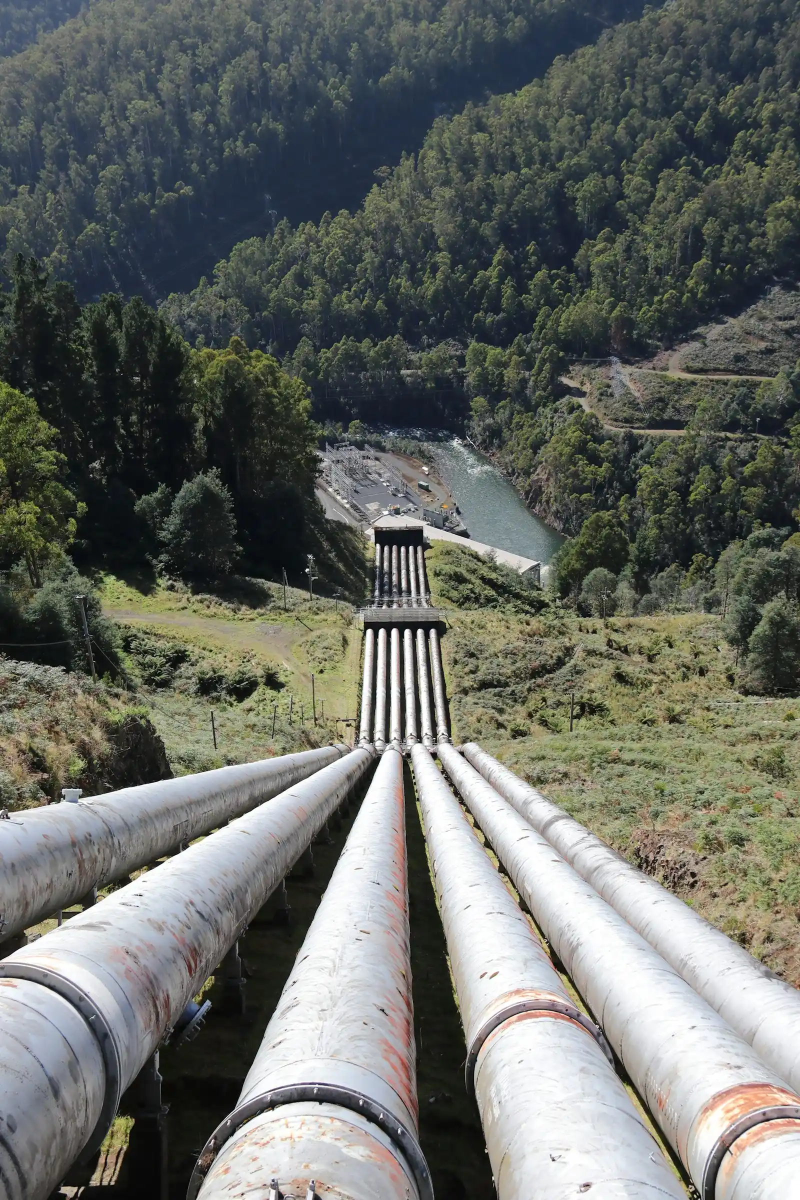 Hydroelectric penstock pipelines running down a forested hillside representing water engineering infrastructure