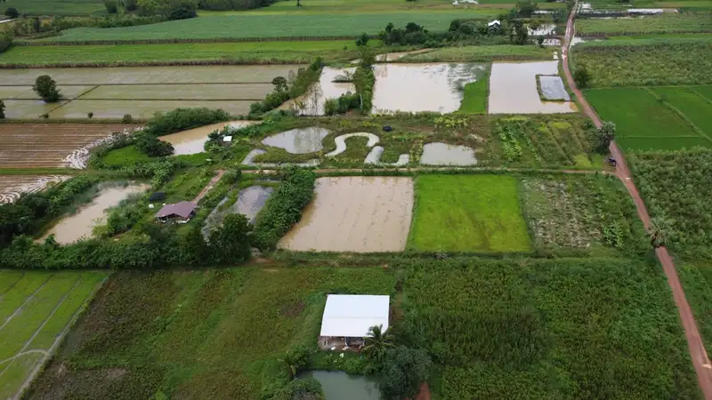 Aerial view of irrigated agricultural fields representing farm water management engineering
