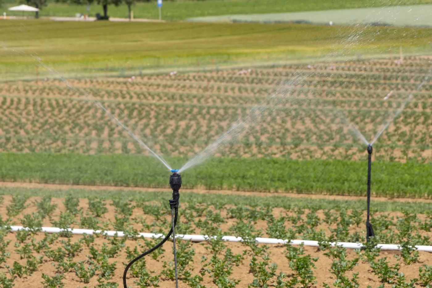 Farm irrigation system representing agricultural engineering professional indemnity coverage
