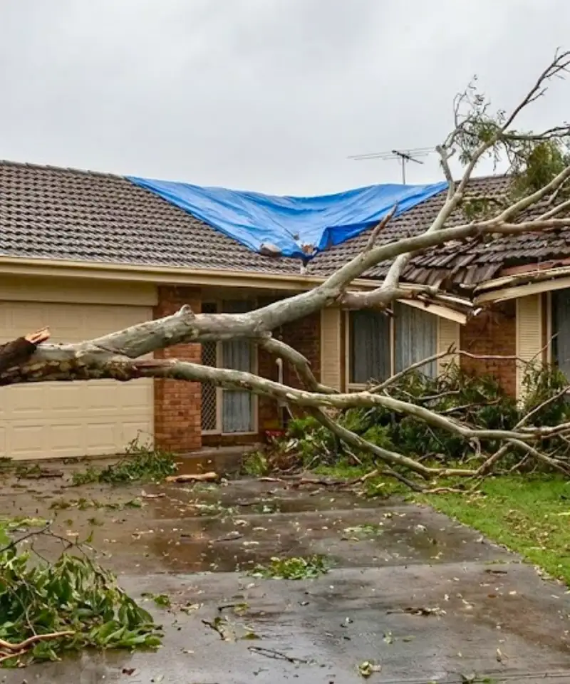 Storm damage to a suburban house with a fallen tree on the roof showing the need for home insurance claims advocacy.